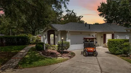 THE VILLAGES FL Home