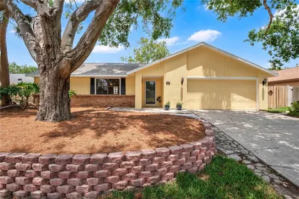ORLANDO FL Home