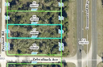 WEEKI WACHEE FL Property