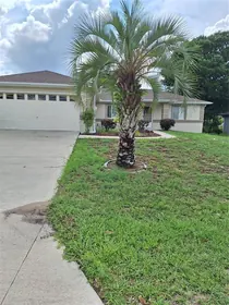 OCALA FL Home