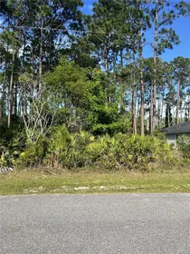 PALM COAST FL Property