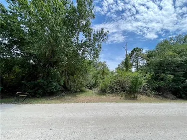 PUNTA GORDA FL Property