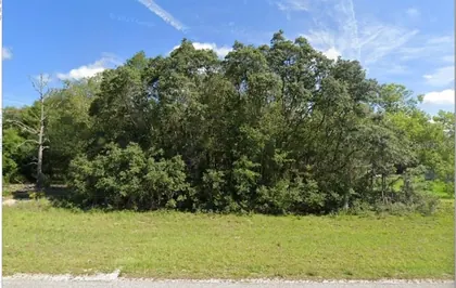 OCKLAWAHA FL Property