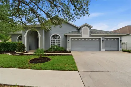 LUTZ FL Home
