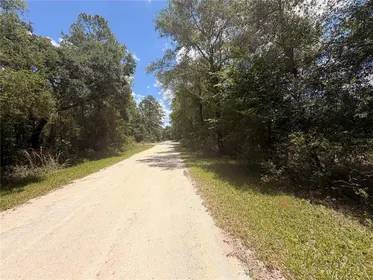 WEBSTER FL Property