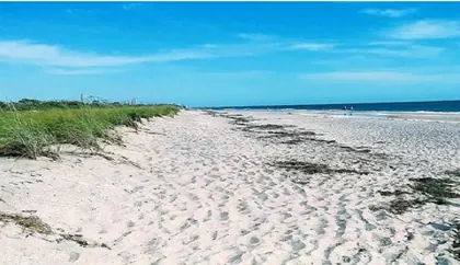 NORTH PORT FL Property