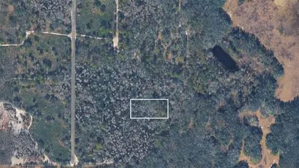 KATHLEEN FL Property