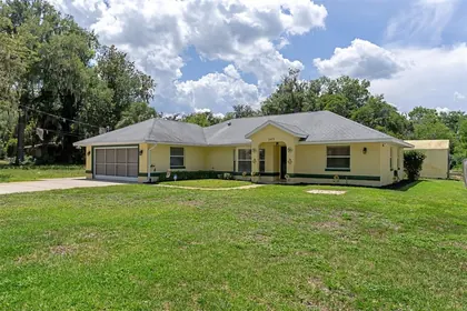 LAKE PANASOFFKEE FL Home