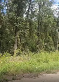 DUNNELLON FL Property