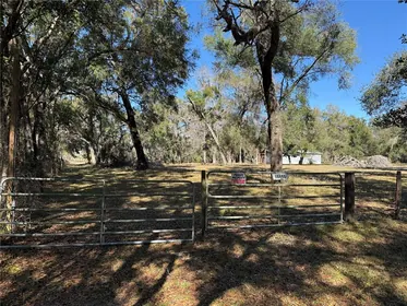 DADE CITY FL Property