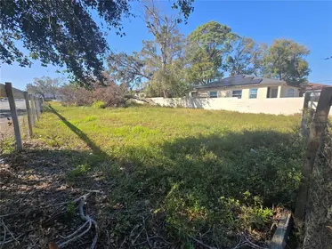 ST PETERSBURG FL Property