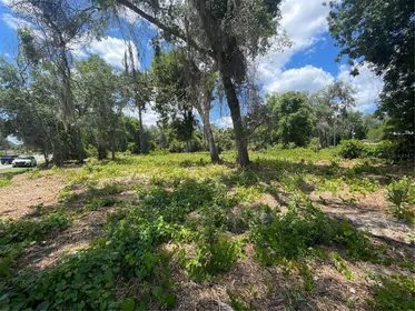 UMATILLA FL Property