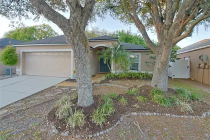 LAND O LAKES FL Home