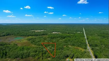 WEBSTER FL Property