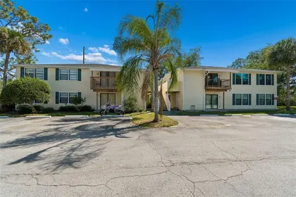 OLDSMAR FL Home