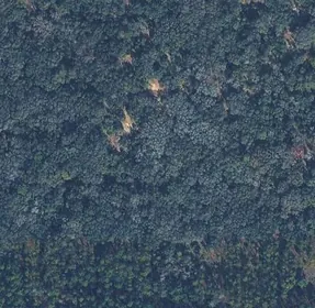INVERNESS FL Property