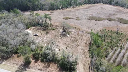 CITRA FL Property