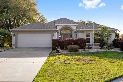 THE VILLAGES FL Home