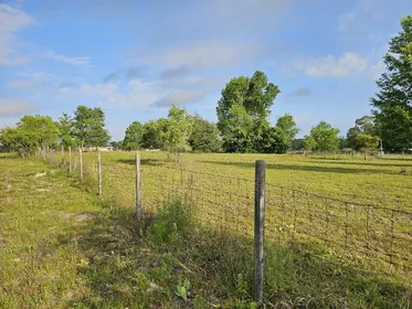 FORT WHITE FL Property