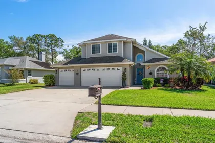 DUNEDIN FL Home