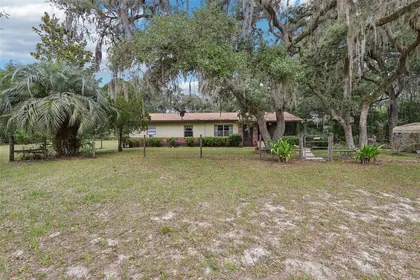 WEBSTER FL Home