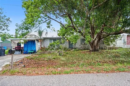 SEFFNER FL Home