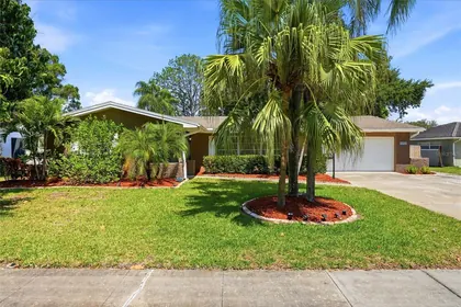 CLEARWATER FL Home