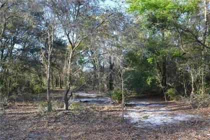 HUDSON FL Property