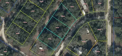 WILLISTON FL Property