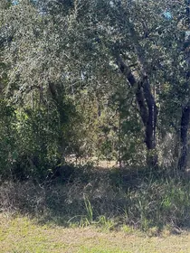 HOMOSASSA FL Property