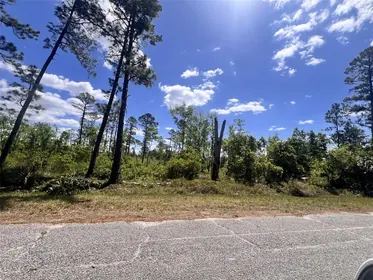 EUSTIS FL Property