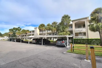 DUNEDIN FL Home