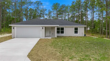 DUNNELLON FL Home