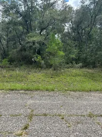 CITRUS SPRINGS FL Property