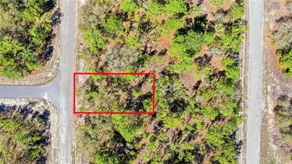 DUNNELLON FL Property