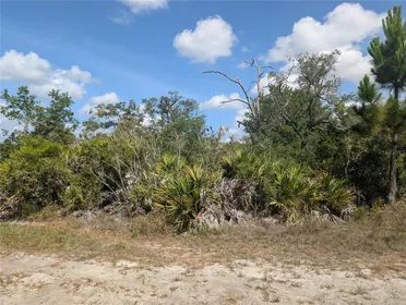 INDIAN LAKE ESTATES FL Property