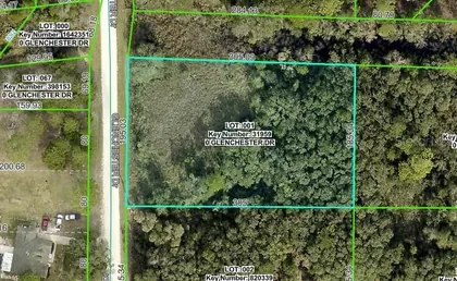 WEBSTER FL Property