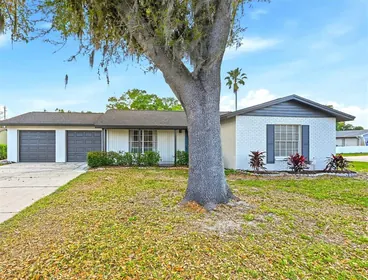 LUTZ FL Home