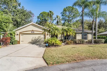 SAN ANTONIO FL Home