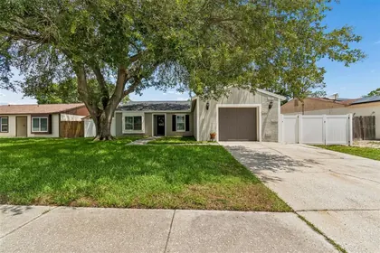 TAMPA FL Home