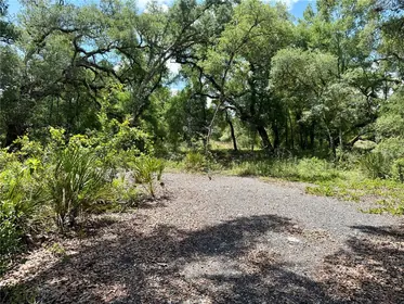 WEBSTER FL Property