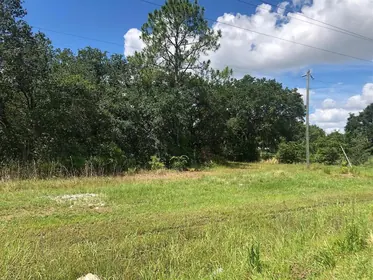 LAKE WALES FL Property