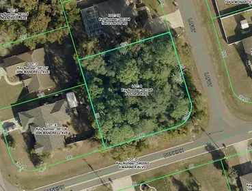 SPRING HILL FL Property
