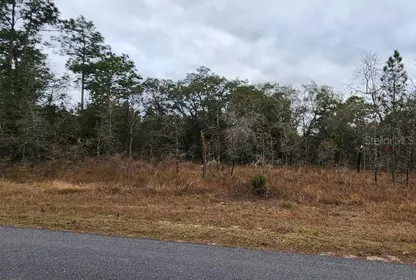 WEEKI WACHEE FL Property