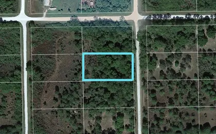 CLEWISTON FL Property