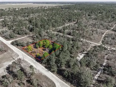 WILLISTON FL Property