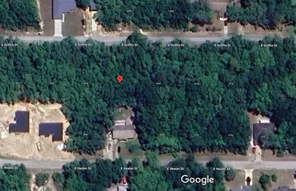INVERNESS FL Property