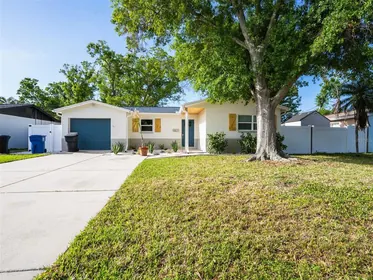 ST PETERSBURG FL Home