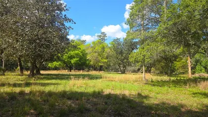 ASTOR FL Property