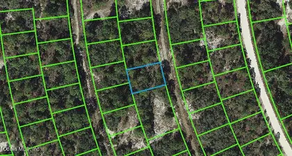 LAKE PLACID FL Property